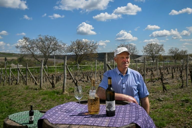 Moldova Wine Industry&rsquo;s EU Focus Pays Off